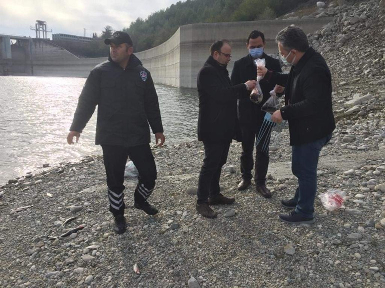 Osmaniyede balık ölümlerine inceleme