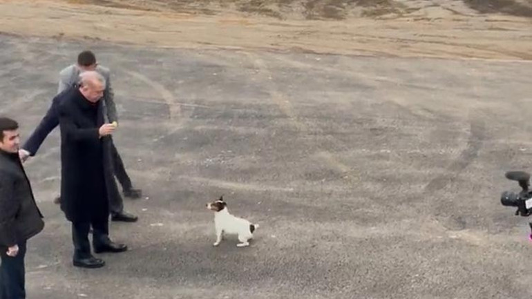 Cumhurbaşkanı Erdoğan, Beykoz hayvan barınağını ziyaret etti