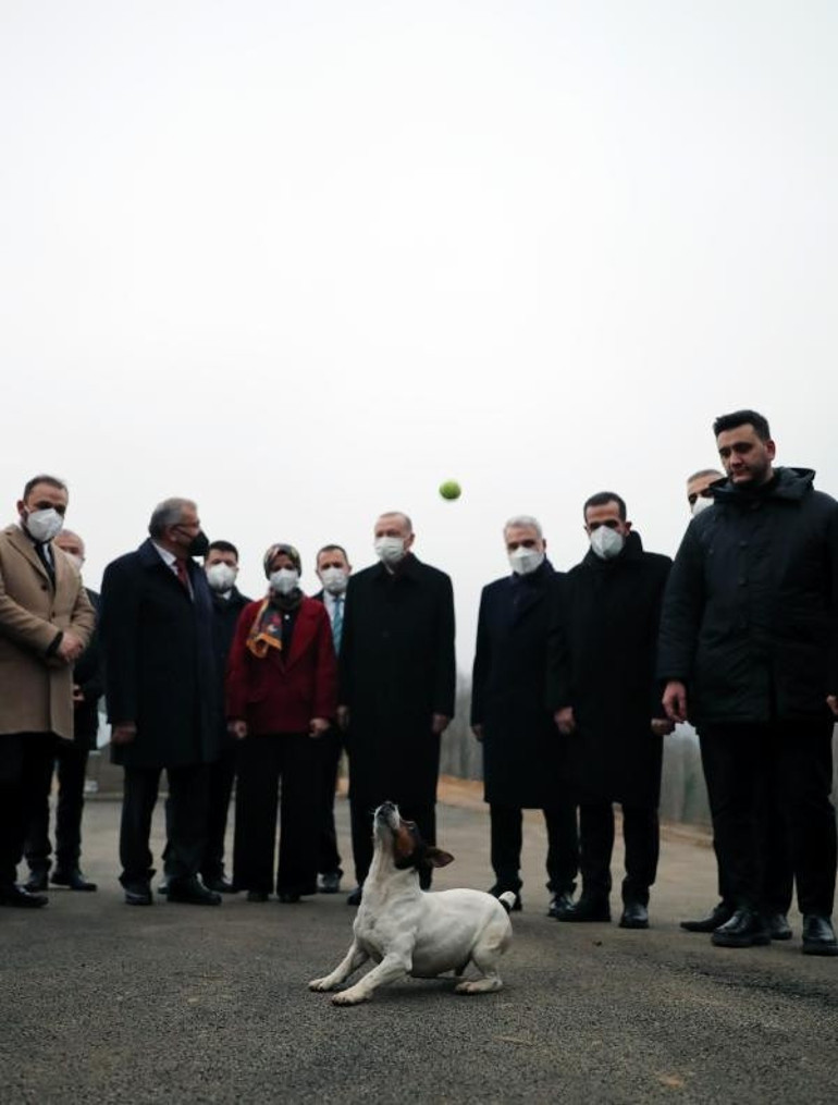 Cumhurbaşkanı Erdoğanın ilgilendiği Maylonun yürek burkan hikayesi...