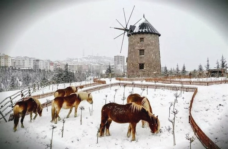 Bavullar hazırlansın, tatil zili çalıyor