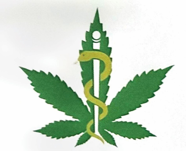 Tıbbi kenevir trenini kaçırmayalım