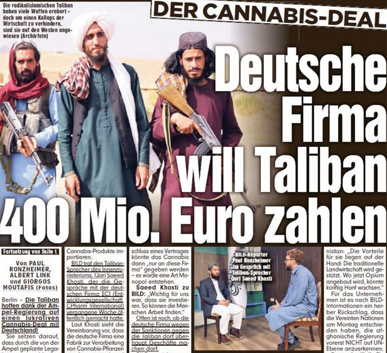 Tıbbi kenevir trenini kaçırmayalım