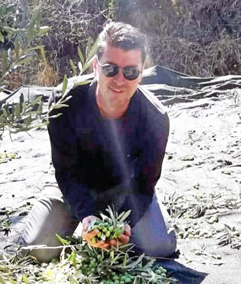 Zeytin ağacının dallarında hayata yeniden tutundu