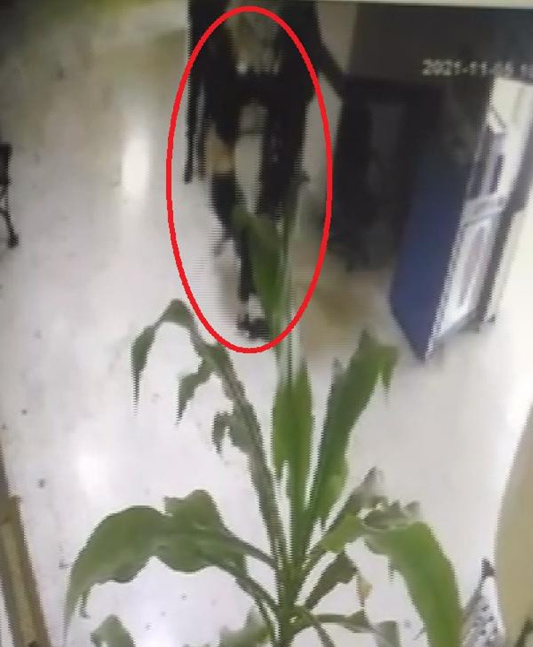 Annesini gasp ettiği öne sürülen genç kızdan karakola taşlı saldırı: 3 polis şikayetçi oldu