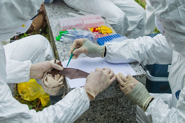 Yazışmalar ortaya çıktı Bilim insanları Wuhan teorisi maillerini sansürlemiş