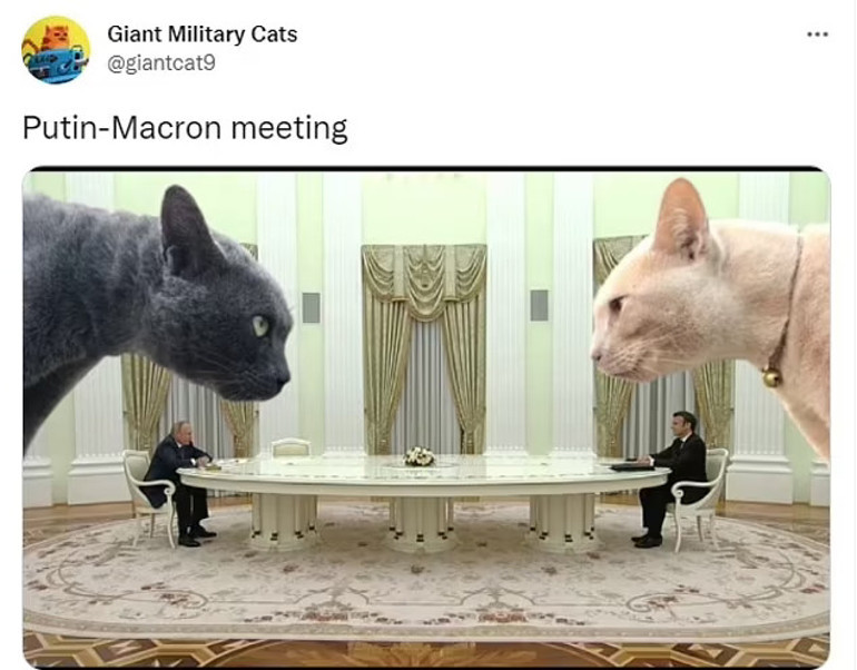 Putin-Macron görüşmesi sosyal medyayı salladı