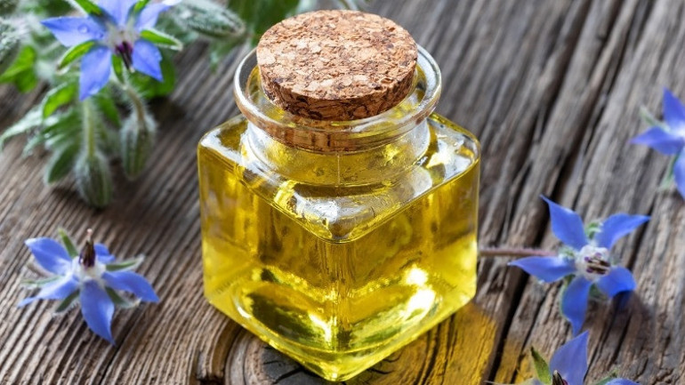 Hodan Nedir, Neye Faydalıdır İşte, Hodan Otu ve Yağı Faydaları