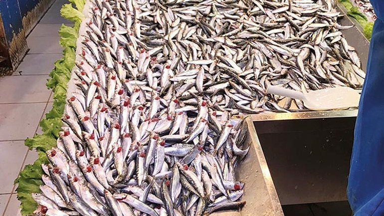Çarşı çarşı gezelim, taze balık seçelim...