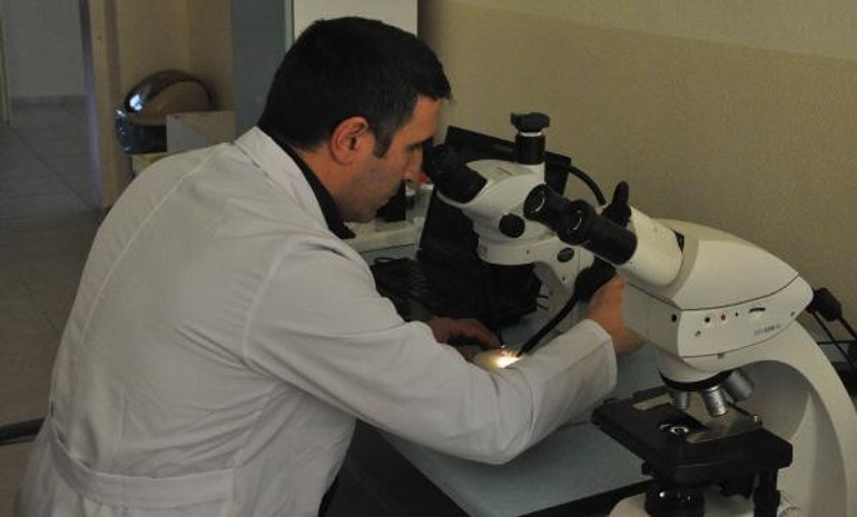 Konyada yeni otbiçen türü keşfettiler: Dünyada ilk kez...