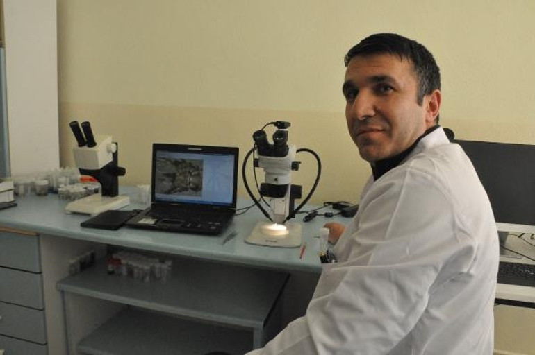 Konyada yeni otbiçen türü keşfettiler: Dünyada ilk kez...