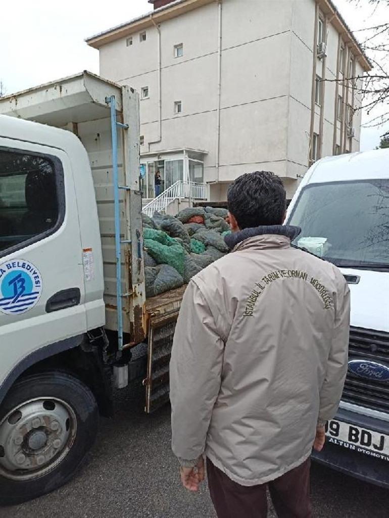 İstanbulda kaçak avlanan 10 ton midyeye el konuldu