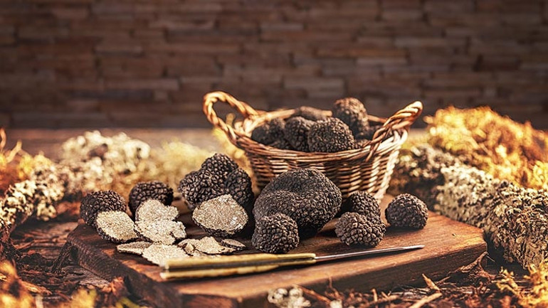 Eşsiz aromasıyla krallara layık bir tat: Trüf mantarı