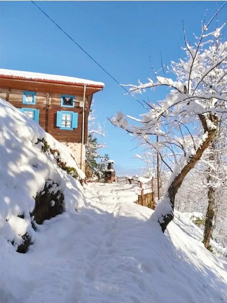 Fırtına Vadisi’nin en güzel dağ evleri
