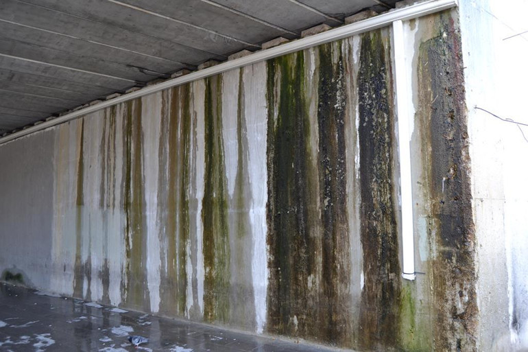 Köprü altında nahoş manzara