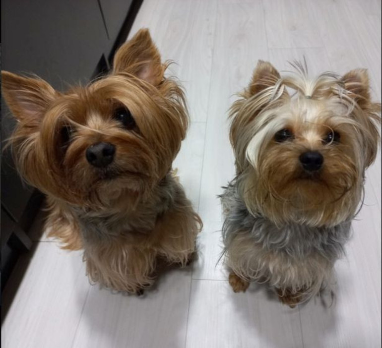 O herkesin sevgilisiydi… Yanında çocuklarıyla birlikte can verdi ‘Affet aşkım seni kurtaramadım’