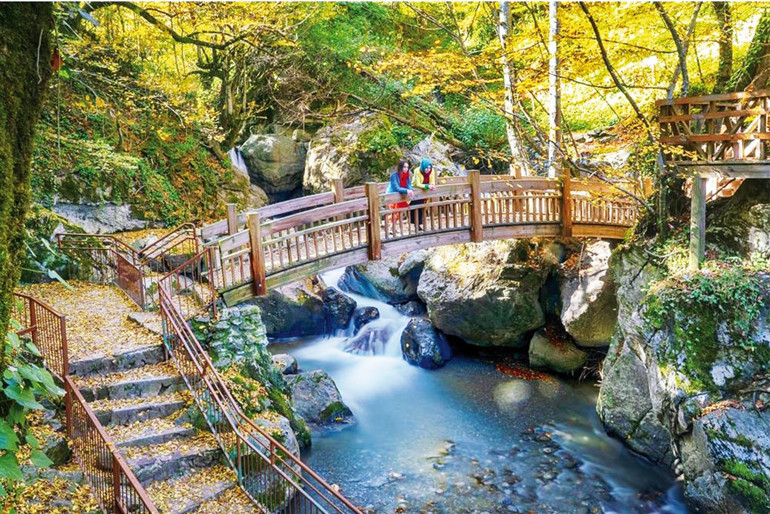 Baharın peşinden...