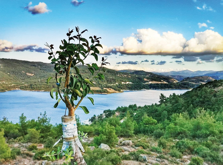 Baharın peşinden...