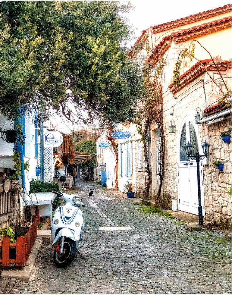 Baharın peşinden...