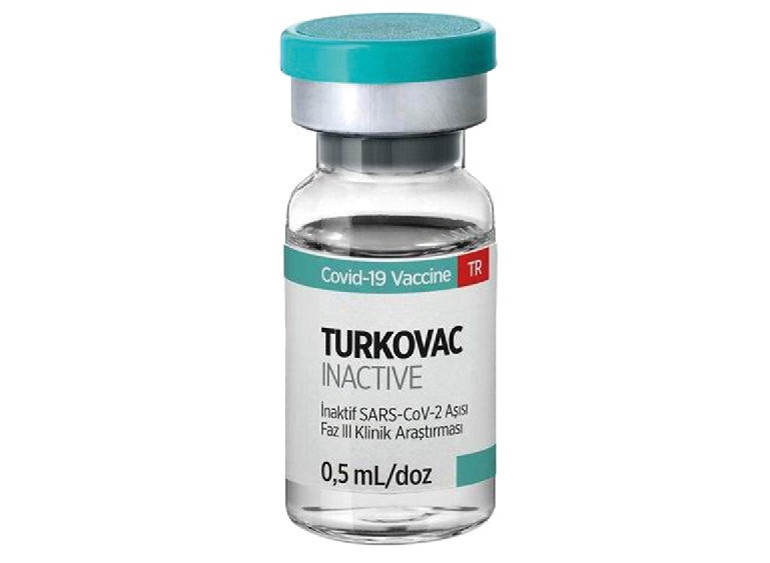 Koronaloji... Salgının kısa tarihi