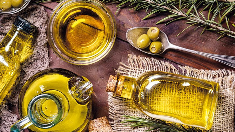 Zeytinin olmadığı bir Anadolu’da ağız tadıyla yaşamamız mümkün olamaz