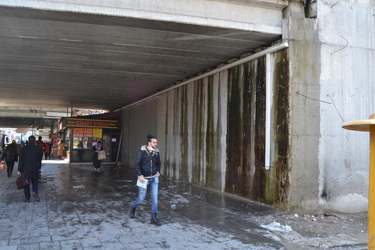 Yosunlu duvar temizlendi