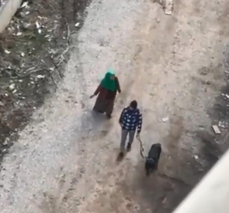 Vicdanları sızlatan görüntü: Gezdirdiği köpeğine tekme attı İnsan ol, bu kadar insafsızlık olur mu