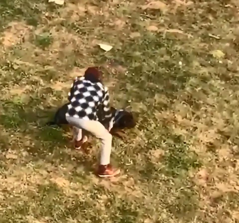 Vicdanları sızlatan görüntü: Gezdirdiği köpeğine tekme attı İnsan ol, bu kadar insafsızlık olur mu