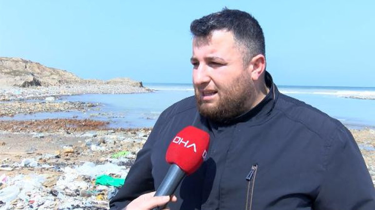 Eyüpsultan sahilinde şoke eden görüntü: 24 ölü yunus balığı kıyıya vurdu İnceleme başlatıldı