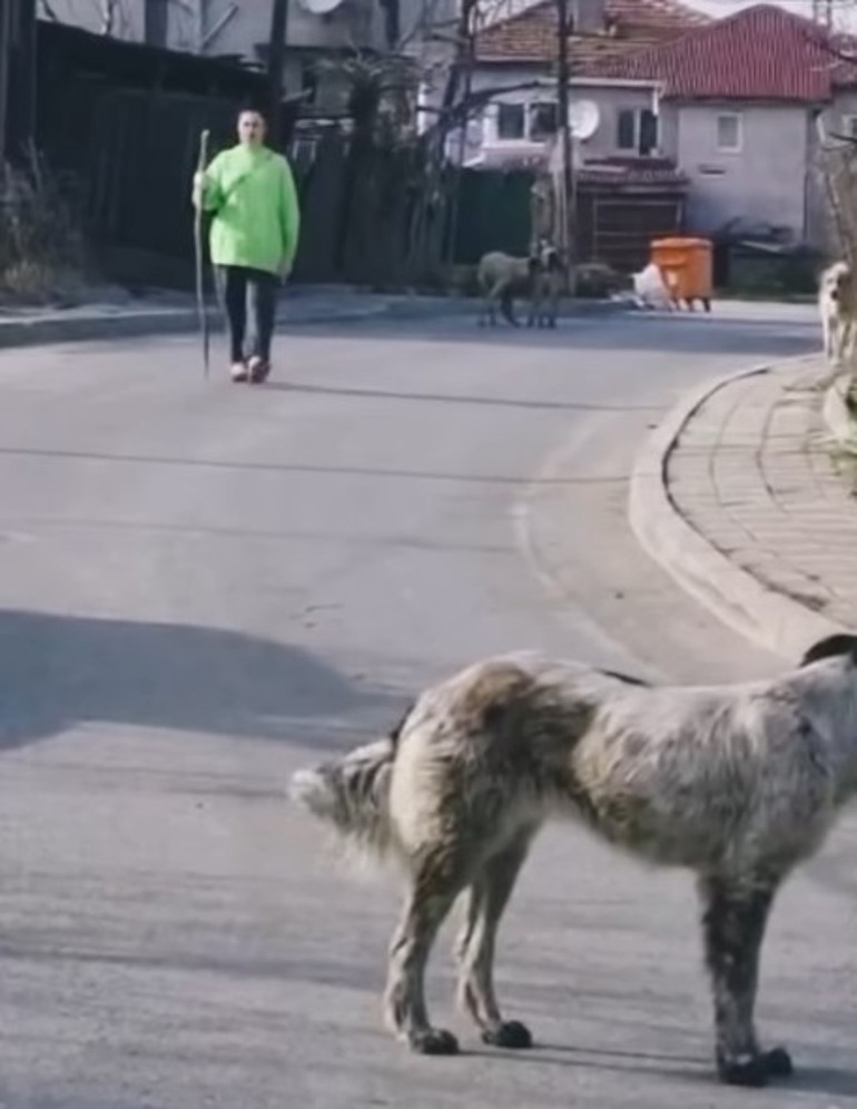 Çocukluğunun geçtiği köy evini yenilemişti: Bu meyveler bahçemden
