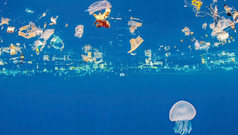 Doğada ne var ne yok