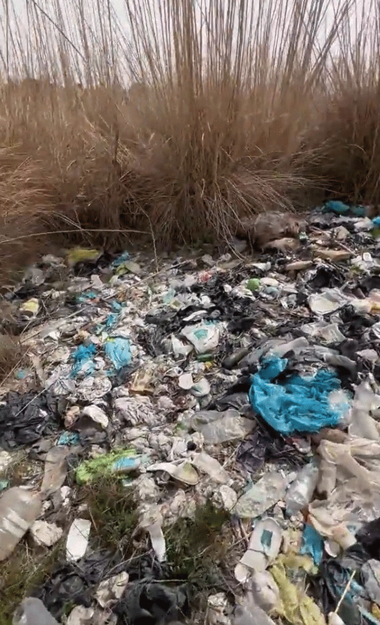 KUŞ CENNETİ CAN ÇEKİŞİYOR