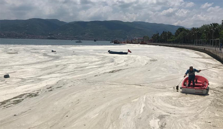 TBMM Müsilaj Araştırma Komisyonu, kâbusun nedenini açıkladı, önerilerini duyurdu