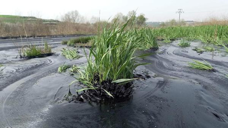Edirnede fuel oil havuzu patlayan tesis ÇEDsiz çıktı