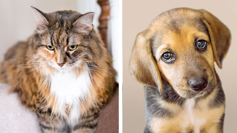 Trafik teröristleriyle nasıl baş edilecek