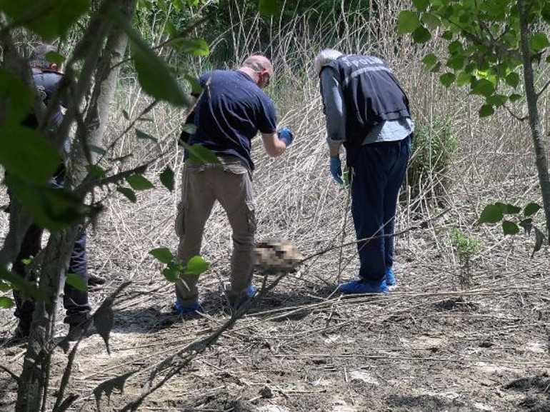 Seyhan Nehri kıyısında insan kemikleri ve kafatası bulundu