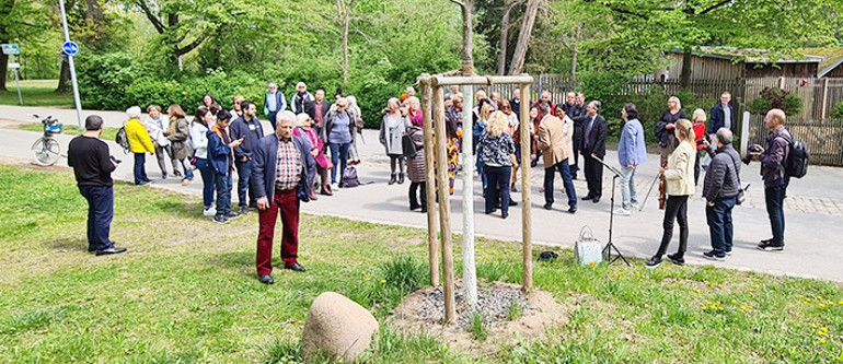 Fürth’e dostluk ağacı dikildi