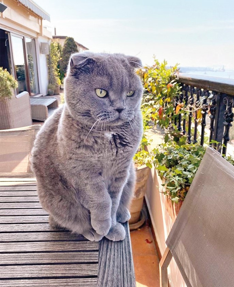 Irkçısın / Irkçı değilim