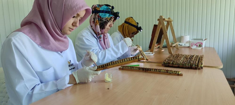 Hücre yeniliyor Kilosu 10 bin liradan satışa çıktı