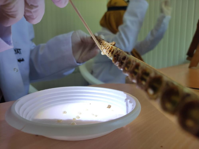 Hücre yeniliyor Kilosu 10 bin liradan satışa çıktı