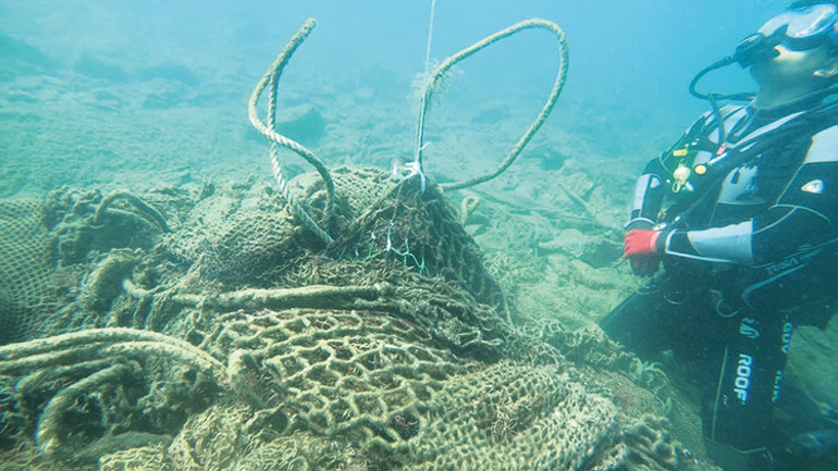 Siyasi maliyet hesabı