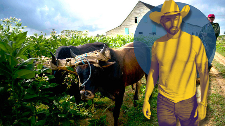 Süt Küba için her şey demekti Ama bugün...