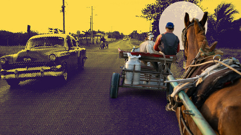 Süt Küba için her şey demekti Ama bugün...