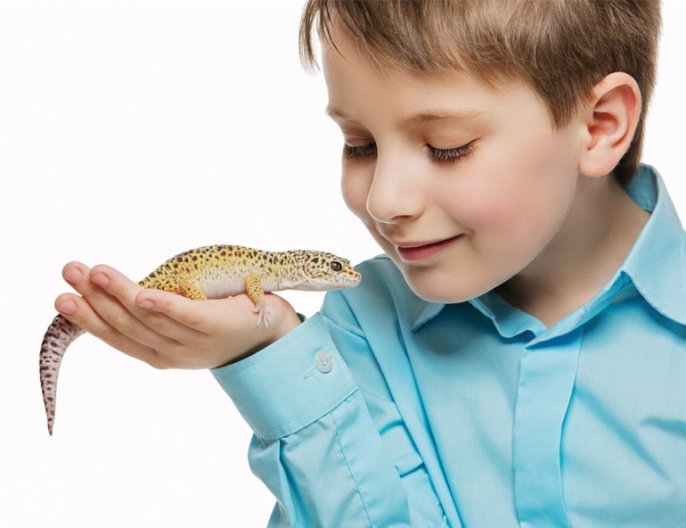 Hayvanlar arasında ayrım yapmayalım