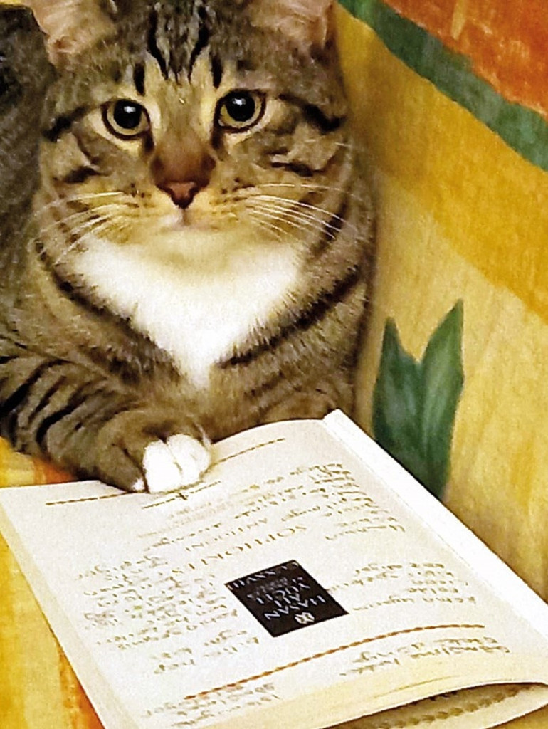 Sıcaklar iştah kaçırmasın