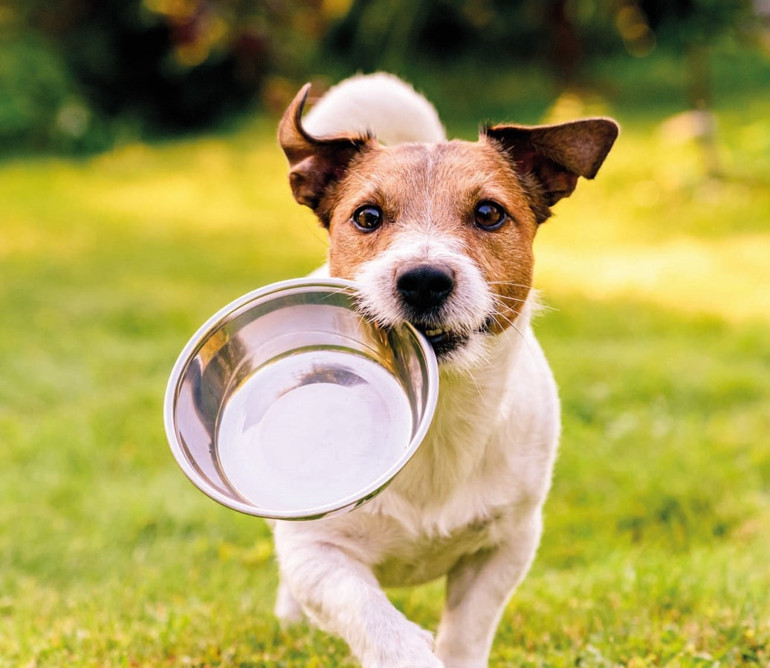 Sıcaklar iştah kaçırmasın