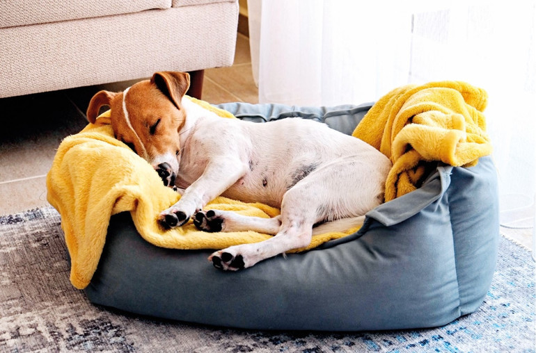 Sıcaklar iştah kaçırmasın