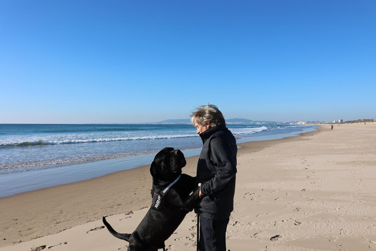 Son Dakika: Fenerbahçede sıcak saatler Jorge Jesus artık an meselesi...