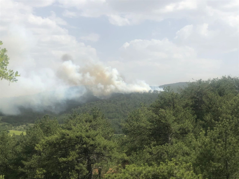 Bolu’da orman yangını Çok sayıda ekip sevk edildi