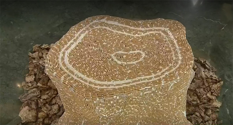 Son dakika: Dünya Tütünsüz Günü programı... Cumhurbaşkanı Erdoğanın gençlik buluşmasına damga vuran sözler