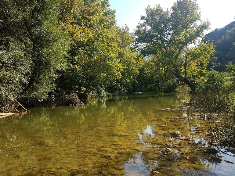 Piknik yapılacak en güzel alanlar… İstanbul, İzmir ve Ankara’ya yakın 20 adres
